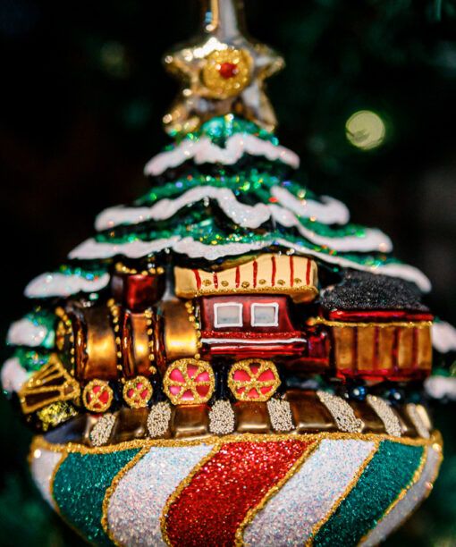 Winter choo-choo vol.2  1k0a7842