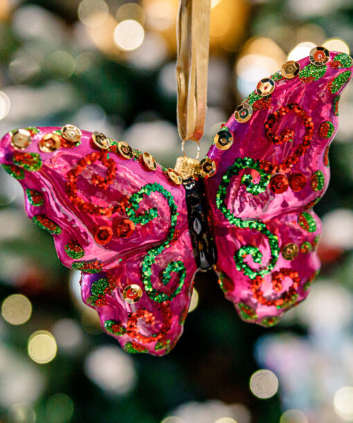 Pink butterfly  1k0a7864