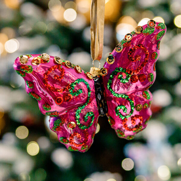 Pink butterfly 1k0a7864