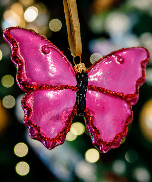 Pink butterfly  1k0a7865