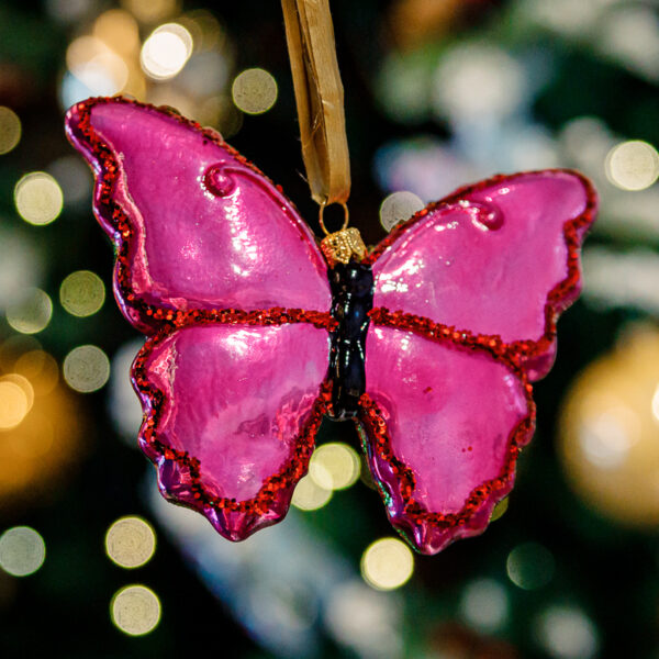Pink butterfly 1k0a7865