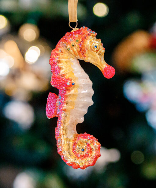Pink sea horse 1k0a8166