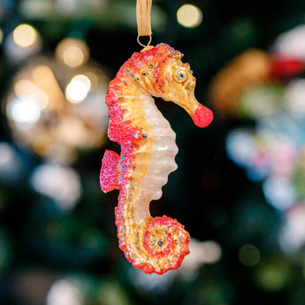 Pink sea horse 1k0a8166