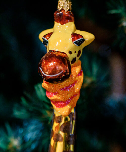 A pistil giraffe  1k0a8233