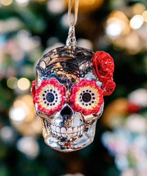 Silver mask from Dia de Muertos  1k0a8500