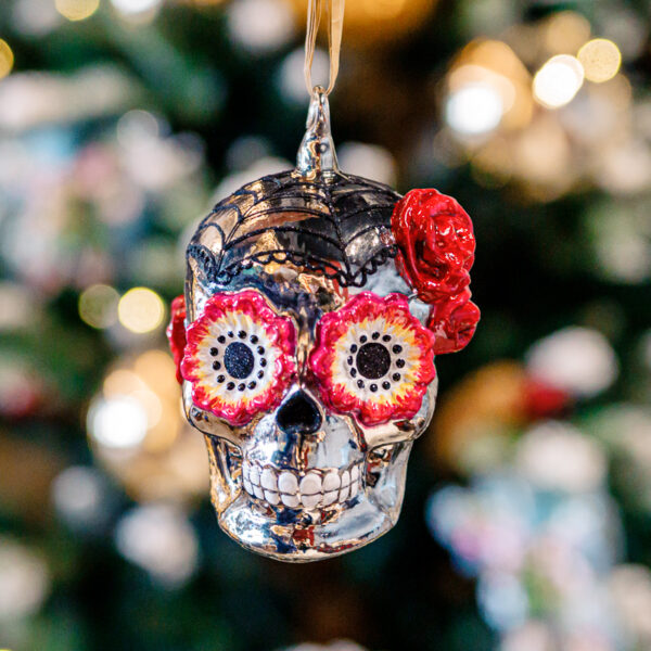 Silver mask from Dia de Muertos 1k0a8500