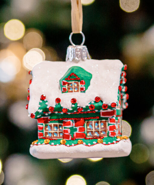 Little Christmas House  1k0a8855