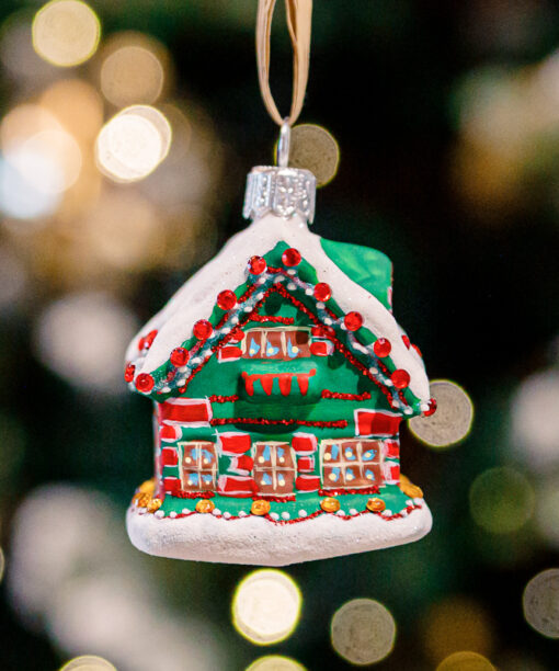 Little Christmas House  1k0a8857