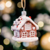 Little gingerbread house  1k0a8861