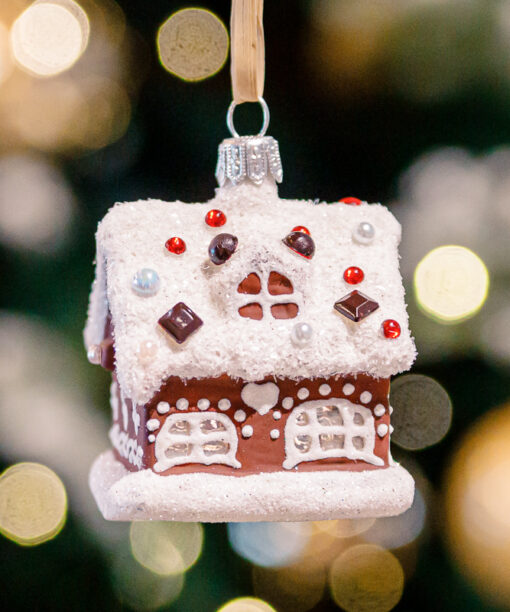 Little gingerbread house  1k0a8864