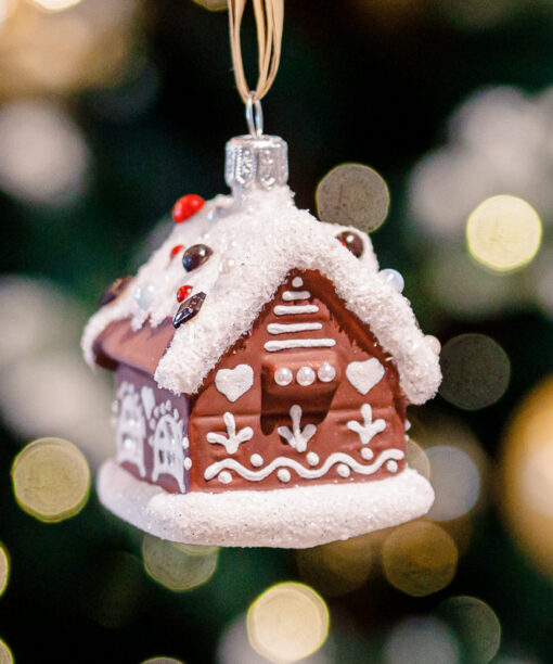 Little gingerbread house  1k0a8865