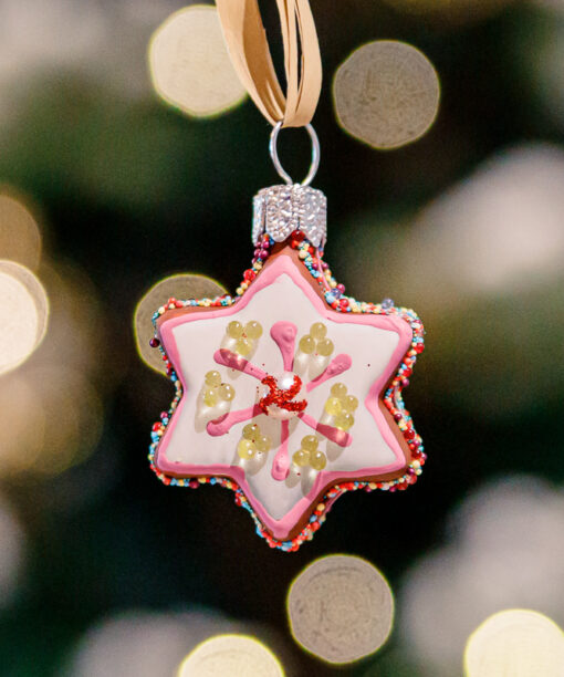 Mini - Iced star  1k0a8869