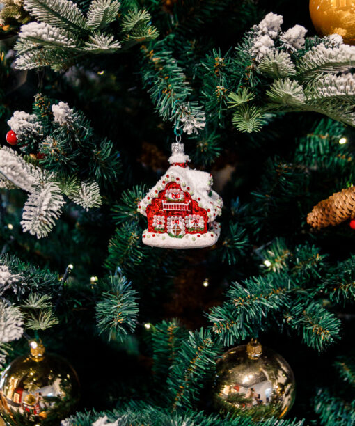 Christmas house  1k0a8879