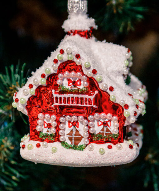 Christmas house  1k0a8880