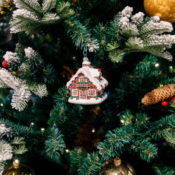 Set - large Christmas houses 1k0a8891