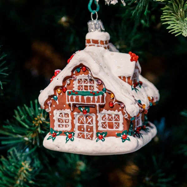 Set - large Christmas houses 1k0a8893