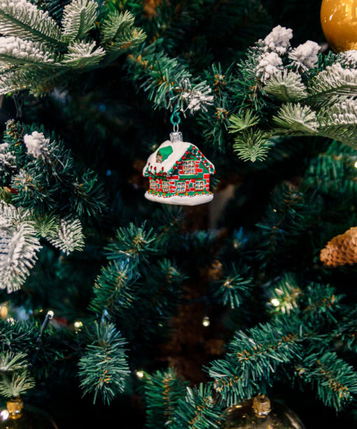 Little Christmas House  1k0a8899