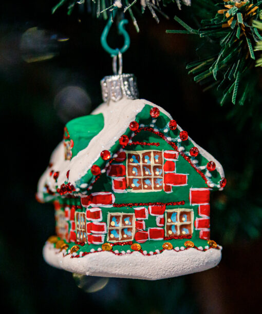 Little Christmas House  1k0a8902