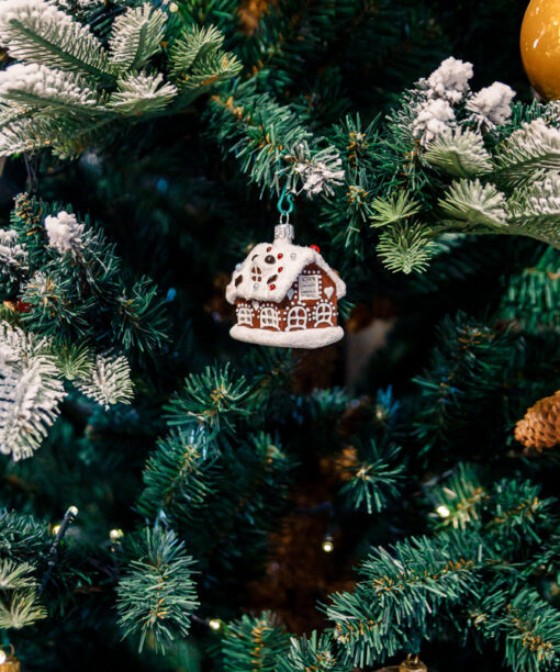 Little gingerbread house  1k0a8905