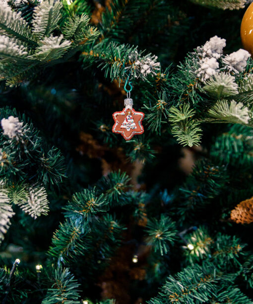 Mini - A star with a Christmas tree  1k0a8911