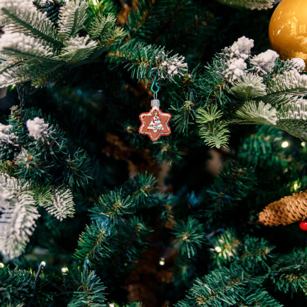 Mini - A star with a Christmas tree 1k0a8911