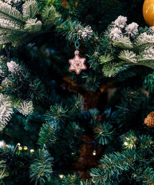 Mini - Iced star  1k0a8912