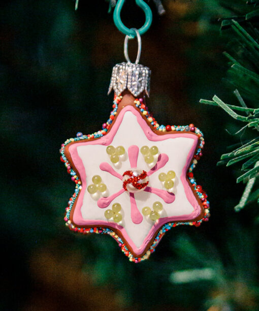 Mini - Iced star  1k0a8913