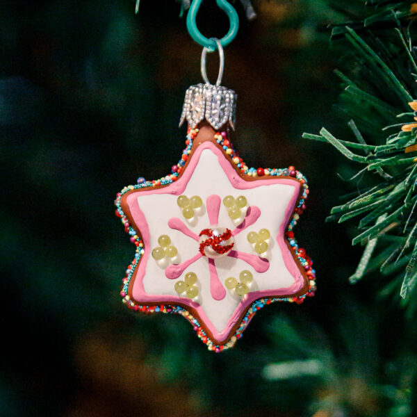 Mini - Iced star 1k0a8913