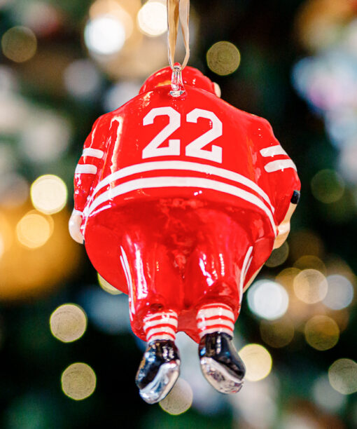 Hockey player  1k0a85581