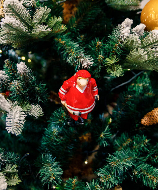 Hockey player  1k0a85741