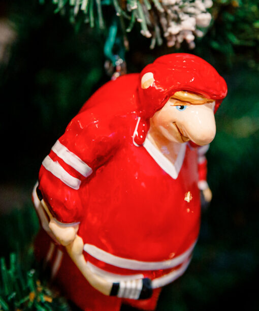 Hockey player  1k0a85761