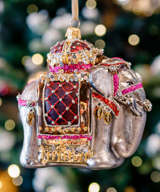 Indian elephant  1k0a8983