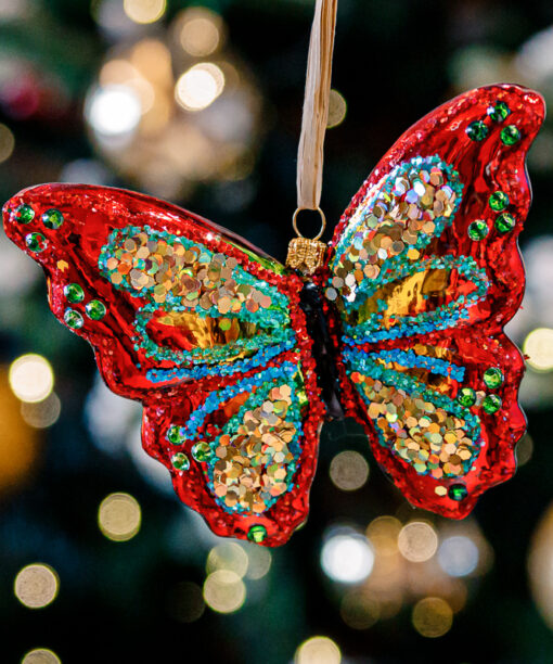 A colorful butterfly  1k0a8999