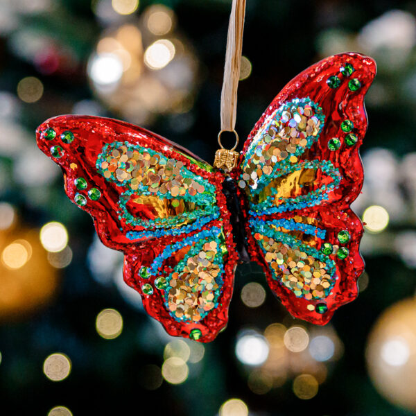 A colorful butterfly 1k0a8999