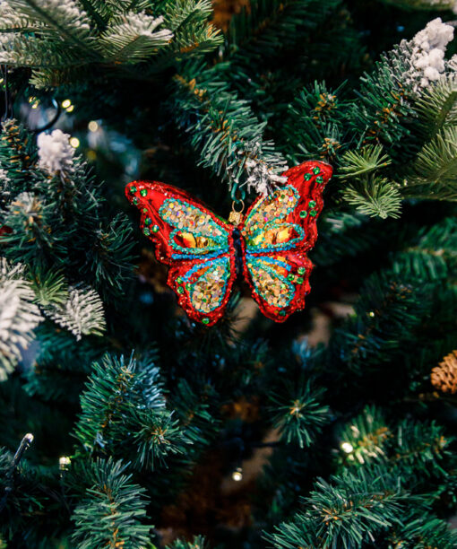 A colorful butterfly  1k0a9032