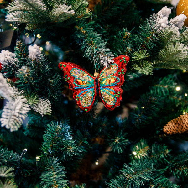 A colorful butterfly 1k0a9032