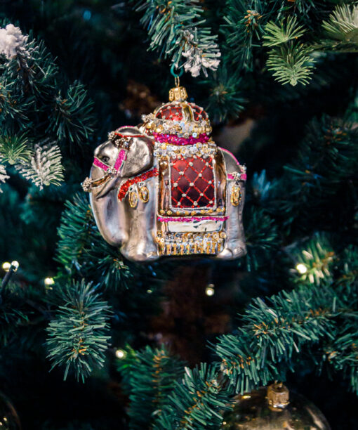 Indian elephant  1k0a9046