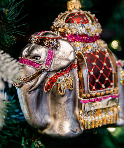 Indian elephant  1k0a9047