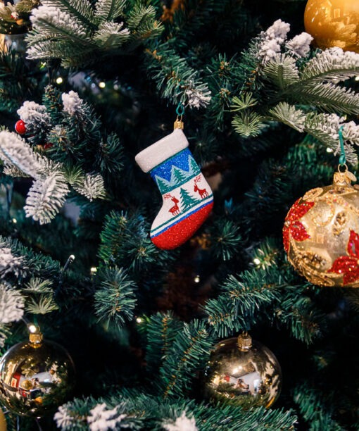 Scandinavian, winter sock  1k0a9717