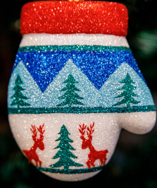 Scandinavian, winter glove  1k0a9719