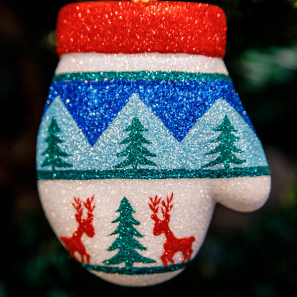 Scandinavian, winter glove 1k0a9719