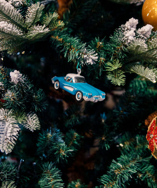 Blue sports car  1k0a9735