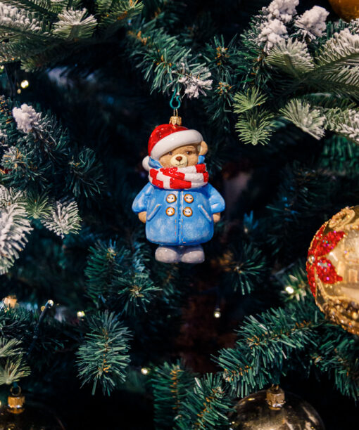 Winter teddy bear  1k0a9741