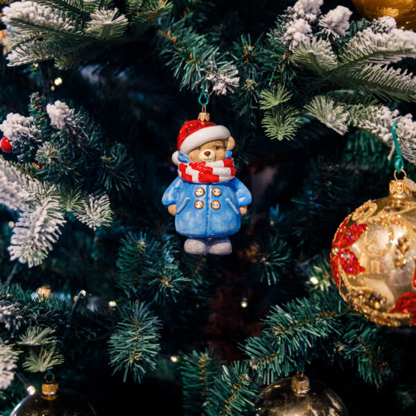 Winter teddy bear 1k0a9741
