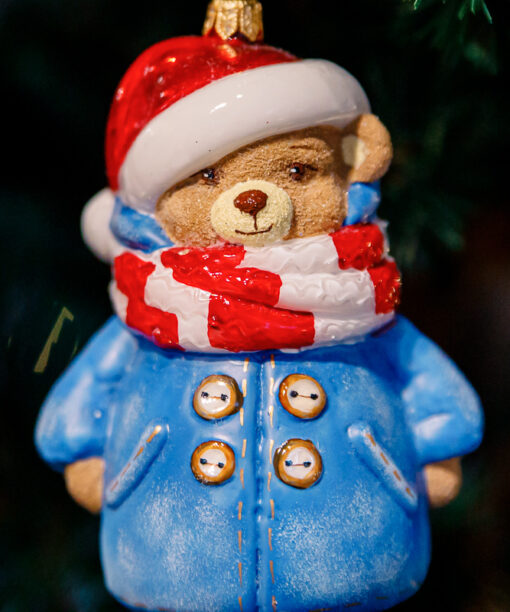 Winter teddy bear  1k0a9743