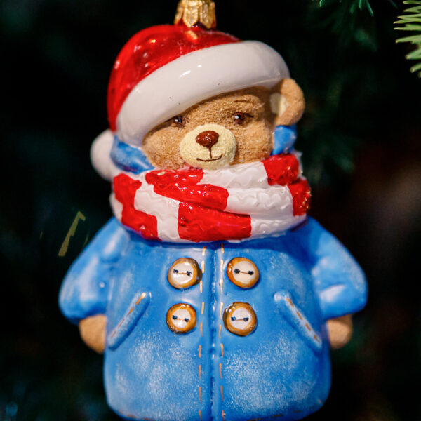 Winter teddy bear 1k0a9743