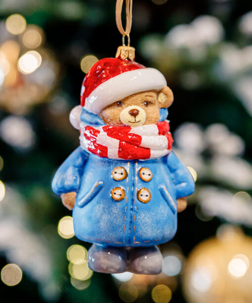 Winter teddy bear  1k0a9768