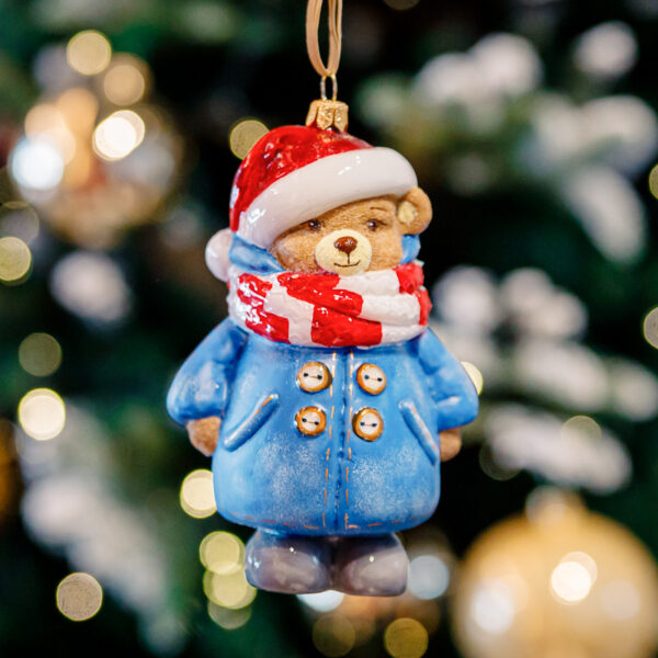Winter teddy bear 1k0a9768