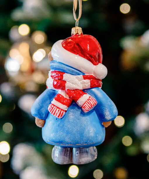 Winter teddy bear  1k0a9770