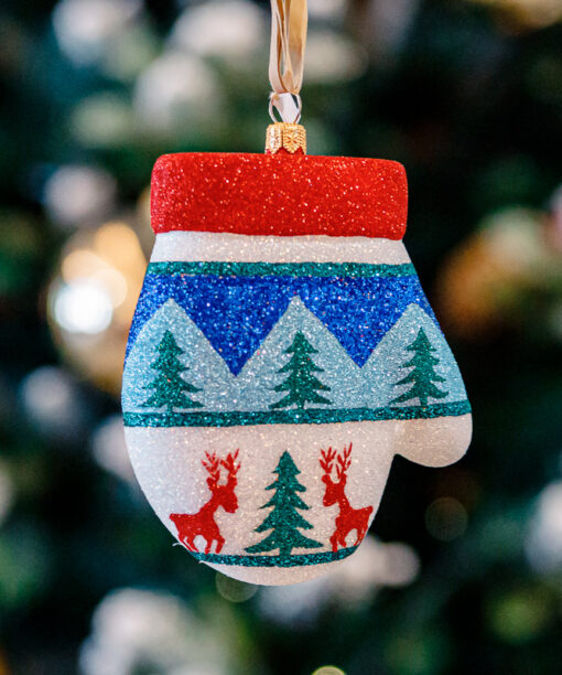 Scandinavian, winter glove  1k0a9793